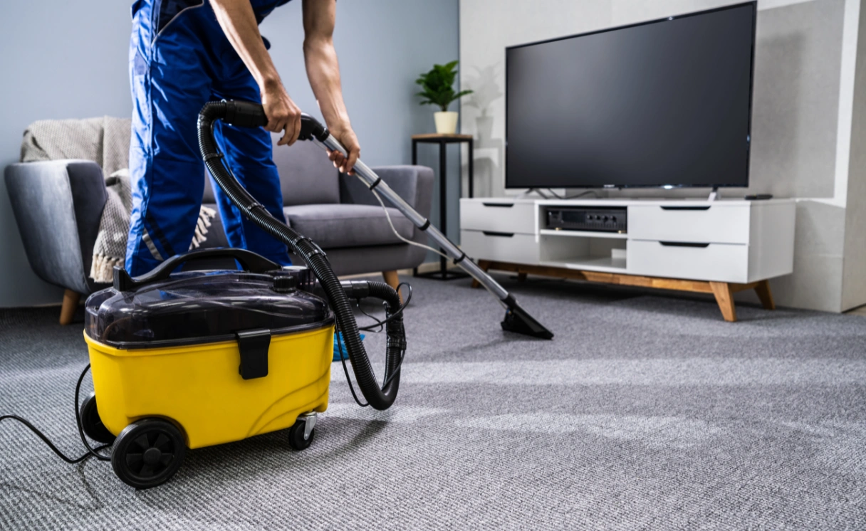 Extract Upholstery Cleaning Steels Creek Contact Office